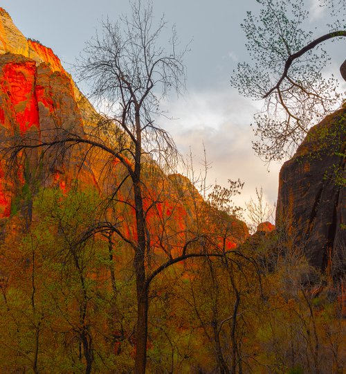 Zion by Nick Psomiadis
