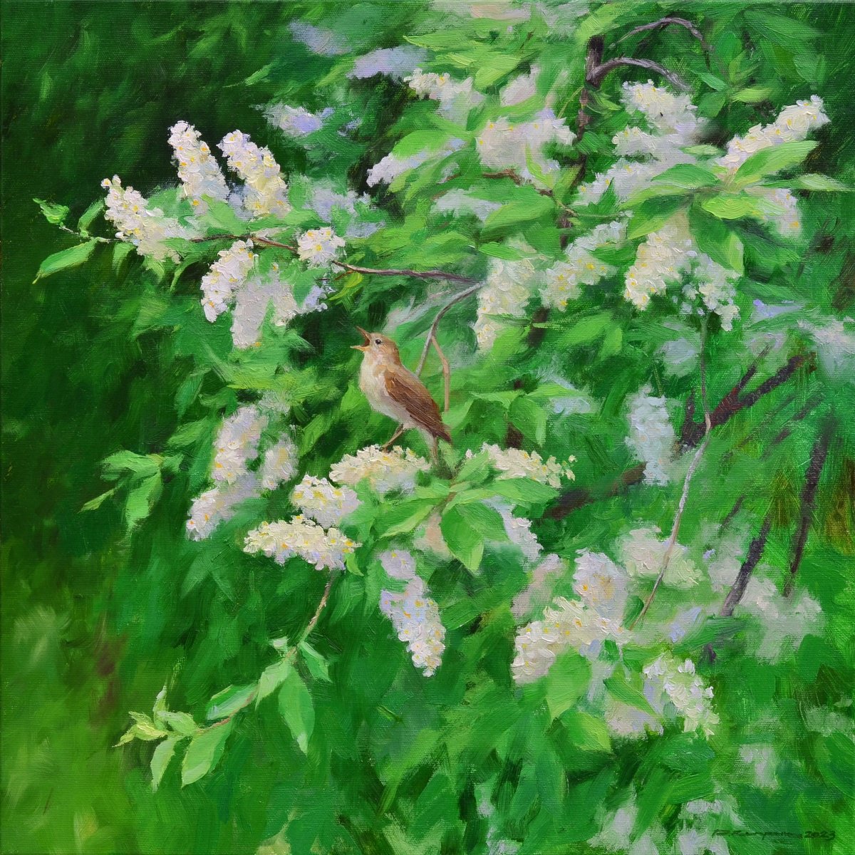 Spring Melody Of Bird Cherry By Ruslan Kiprych, 20 X 20, Artwork For Sale On Artfinder