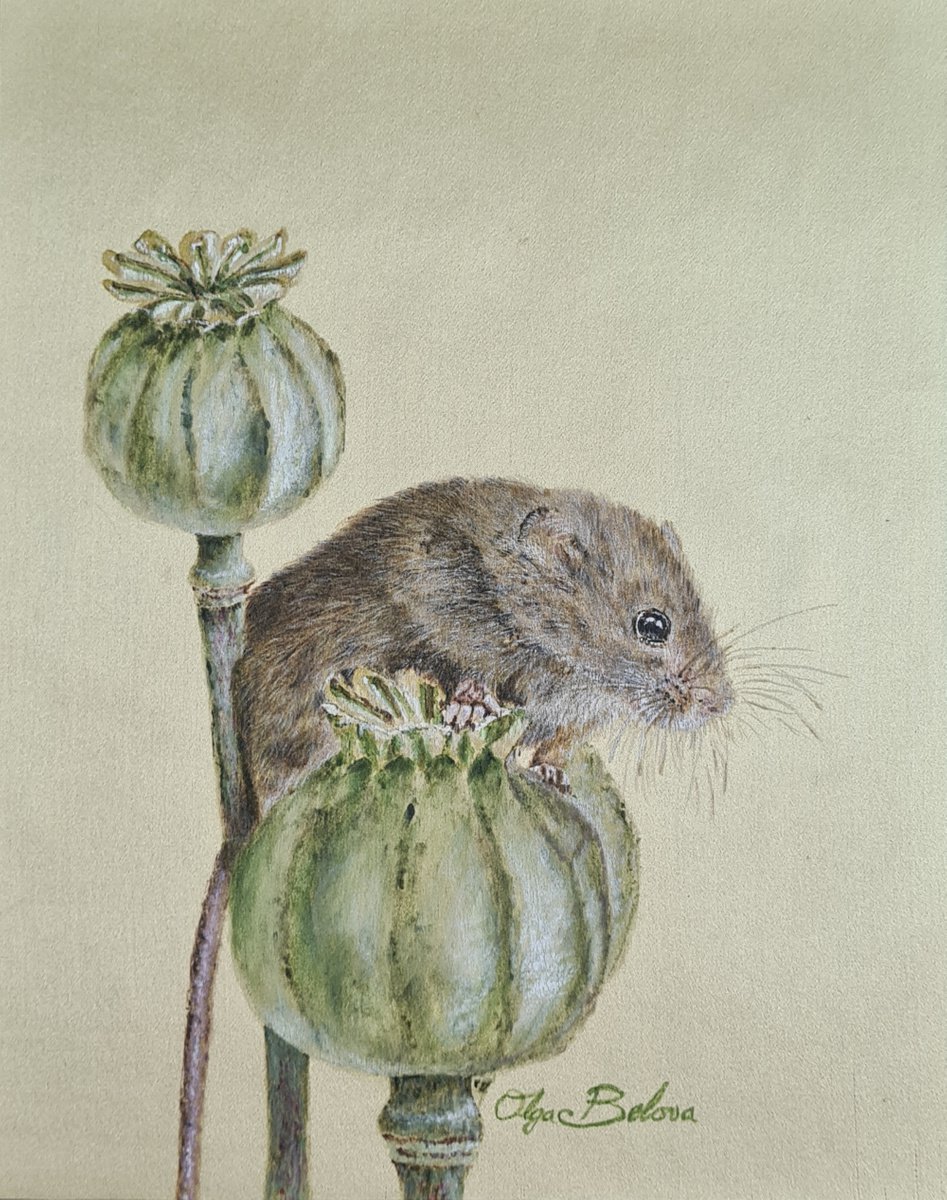 Harvest Mouse 2 - Silk Painting by Olga Belova