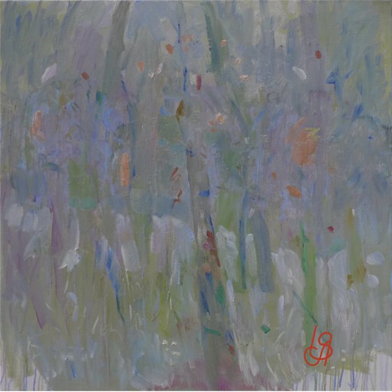 Morning In The Forest