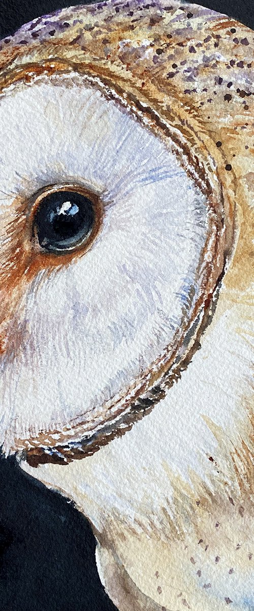 Golden Boy_ Barn Owl by Arti Chauhan