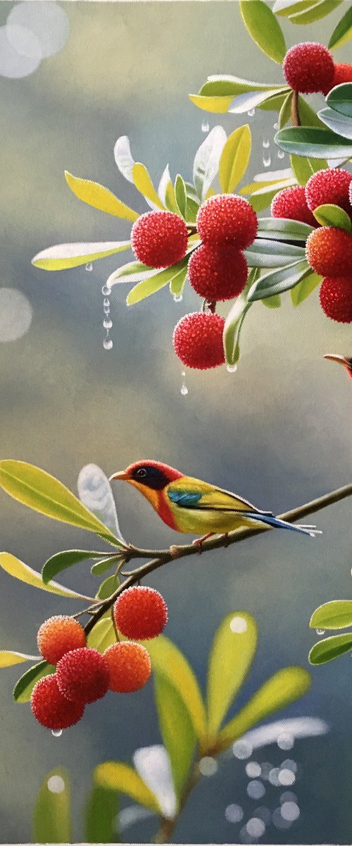 Summer t276 by Kunlong Wang