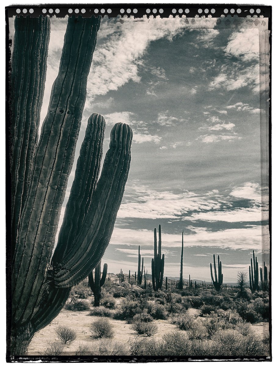 Photorealistic Landscape Photograph By Heike Bohnstengel, 11 X 14, Baja Landscape #2, Original Artwork