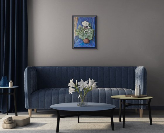 Cyclamen in Terracotta