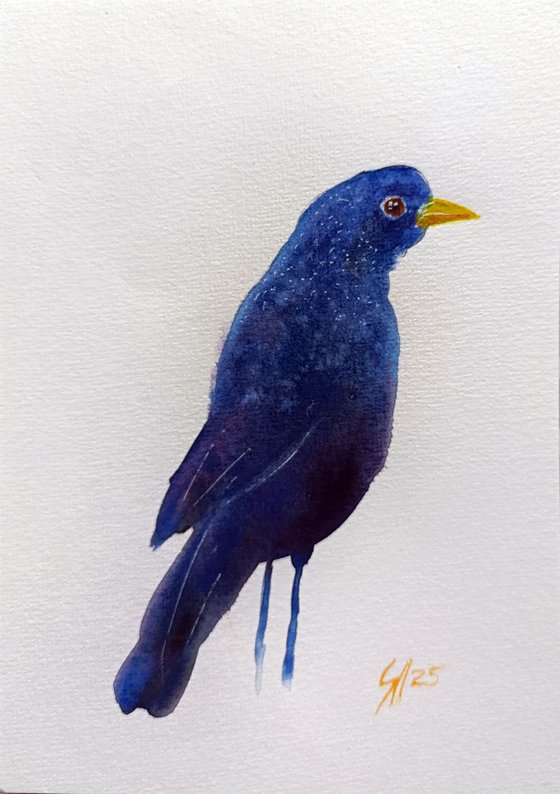 Blue bird I