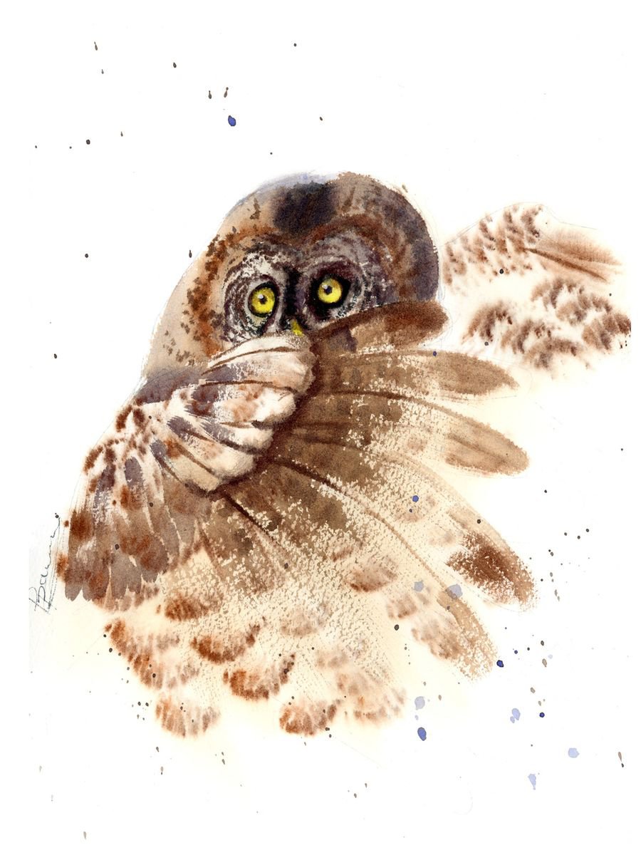 Flying OWL by Olga Shefranov (Tchefranova)