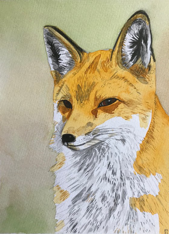 Fox