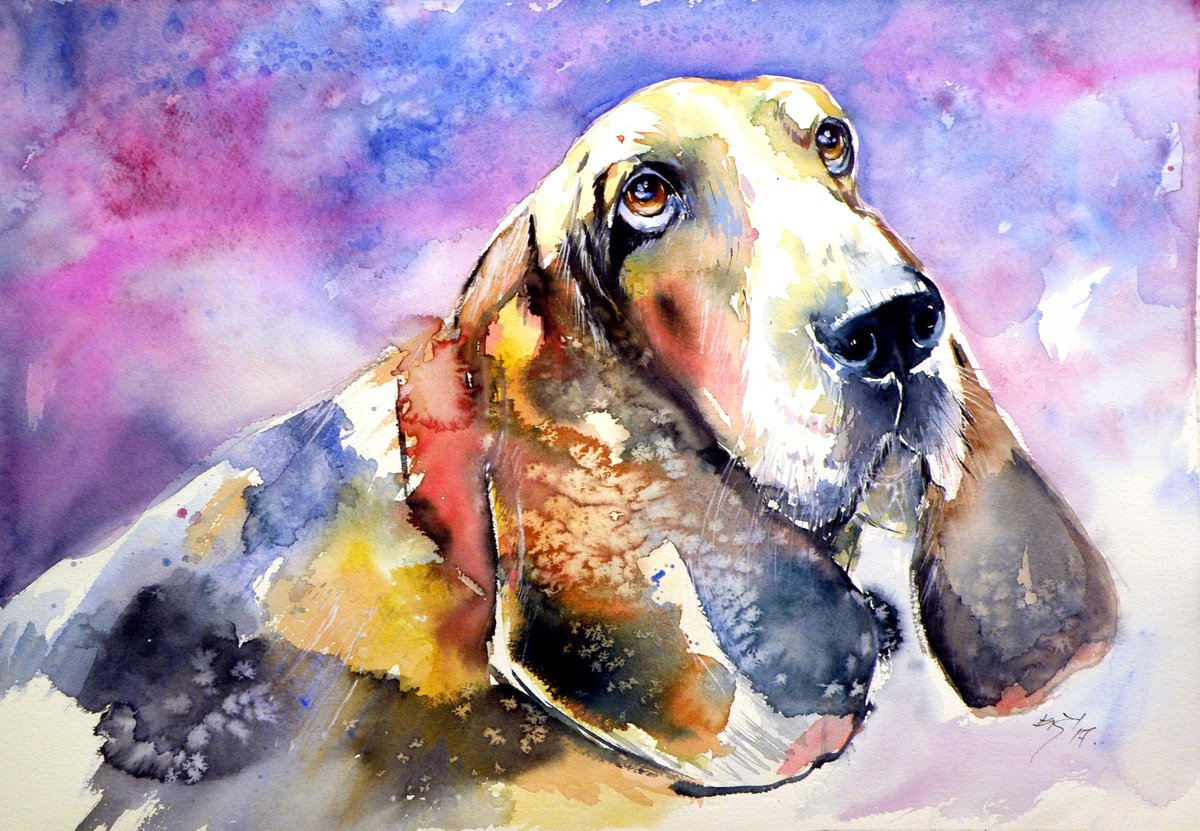 Cute basset hound by Kovacs Anna Brigitta