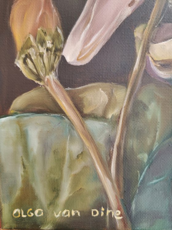 Autumn flowers
