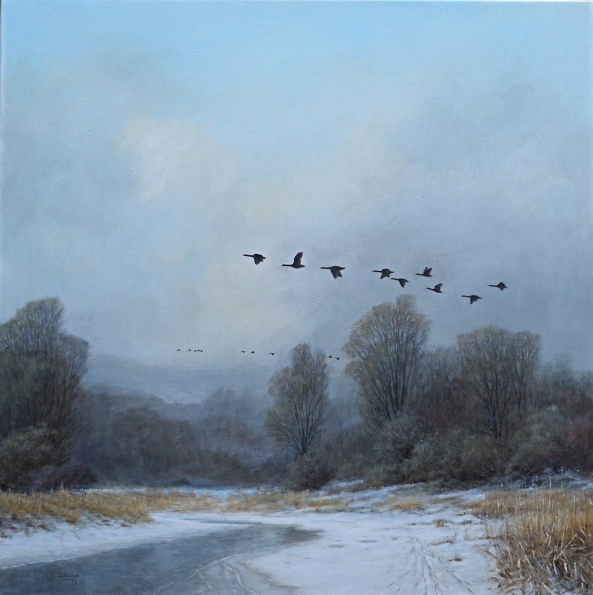  Geese On The Run. By Gerard Kramer, 39 X 39, Artwork For Sale On Artfinder