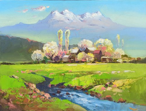 Armenian mountain - Aragats  (50x70cm oil painting, ready to hang) by Hayk Miqayelyan