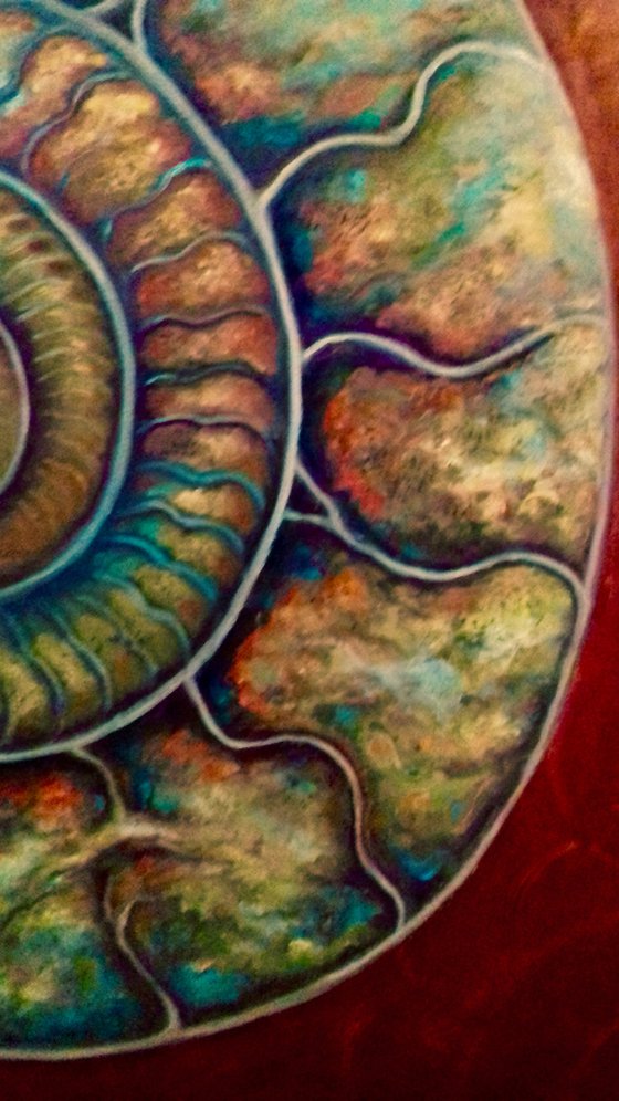 Green and Red Ammonite