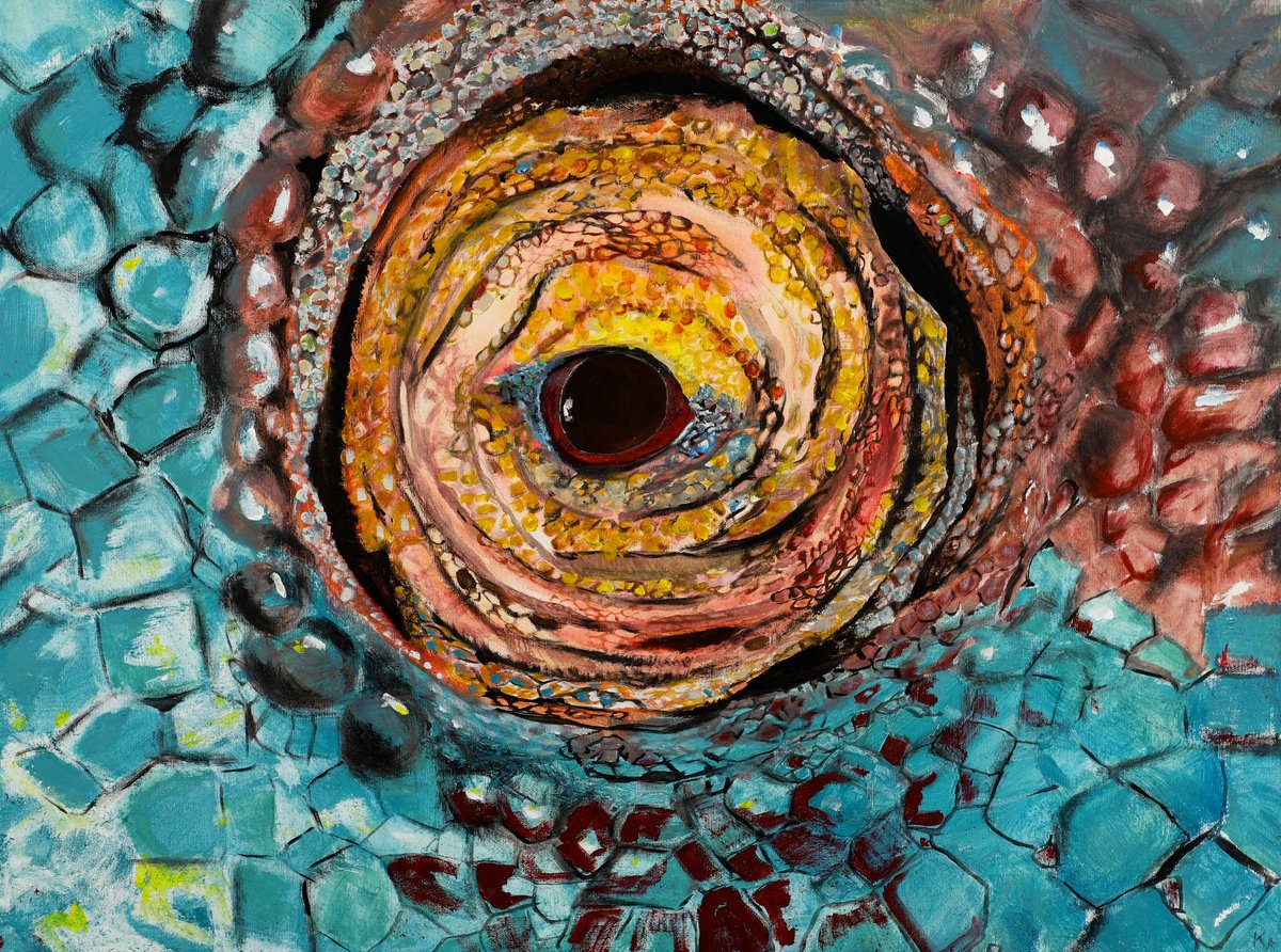 Chameleon eye 1 by Kathrin Fl�ge