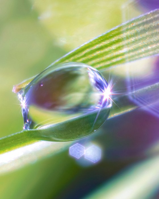 Projection - Studio Edition