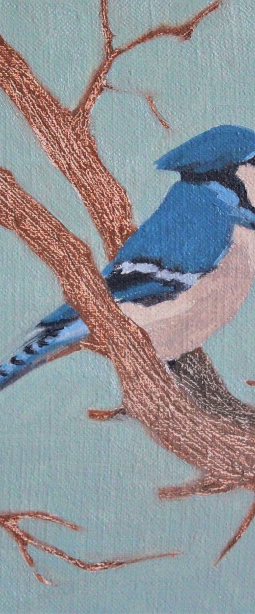 Song birds - Blue Jay by Afekwo