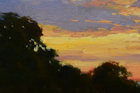 Evening after the storm