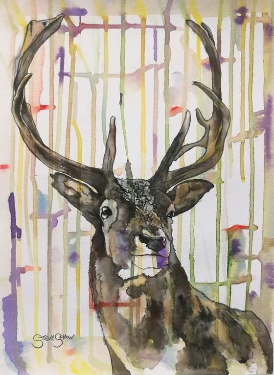 Colourful Stripy Stag ( on paper )
