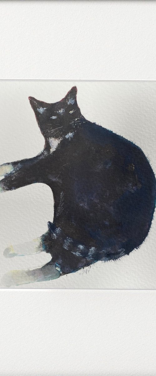 Mr Poo George the Cat by Teresa Tanner