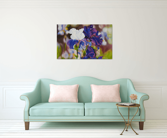 Purple and White Irises