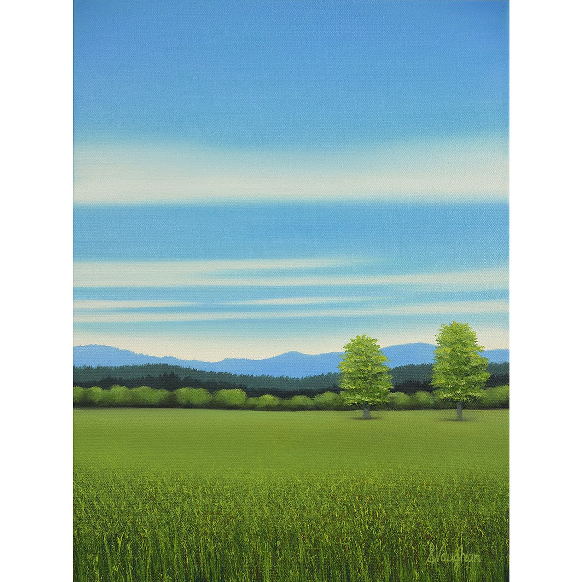 Grassy Field - Blue Sky By Suzanne Vaughan, 12 X 16, Artwork For Sale On Artfinder