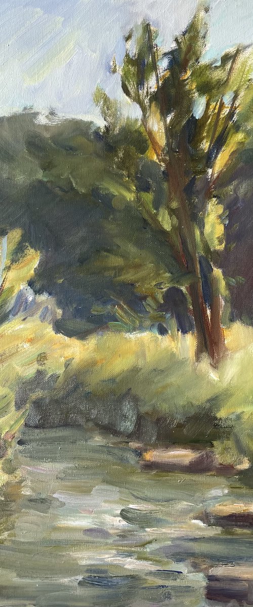 Soft Summer Light by Denys Kovalyk