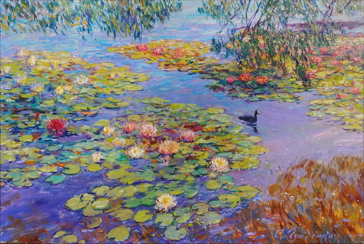 Nymphaeums Are Enveloped In The Sun. By Svitlana Gunchenko, 24 X 16, Artwork For Sale On Artfinder