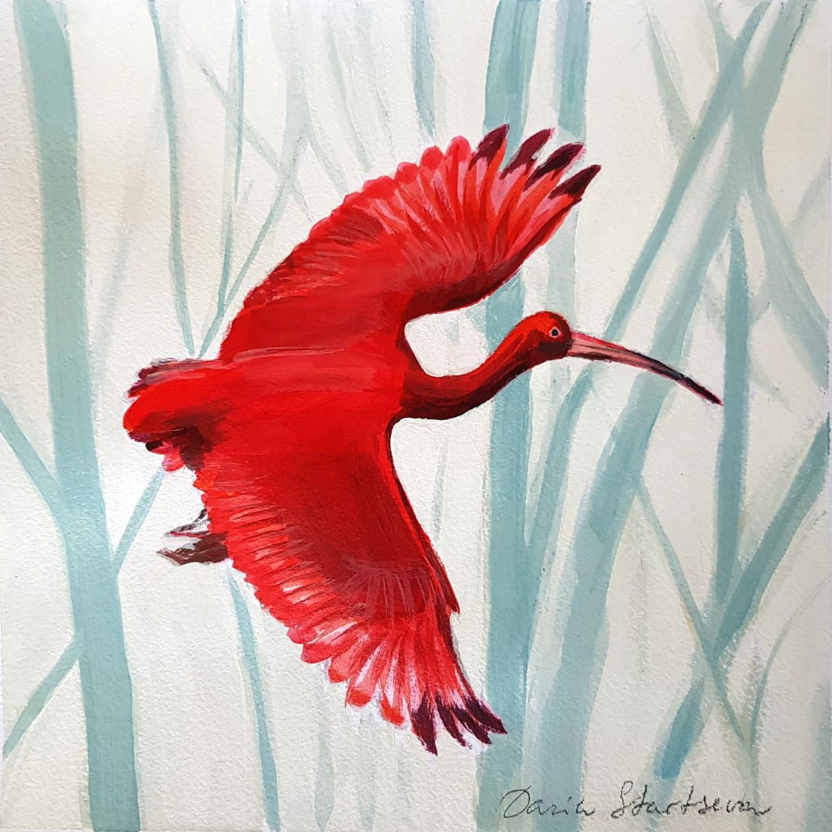 Illustrative Animal Acrylic Painting By Daria Startseva, 9 X 9, Scarlet Ibis Flying, Original Artwork