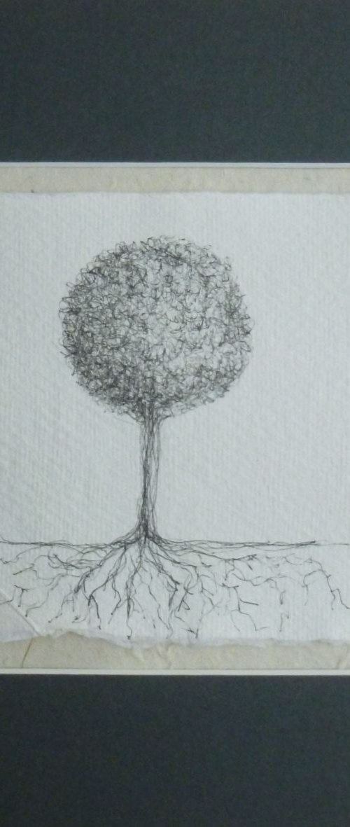 Roots 2 by Fiona Philipps