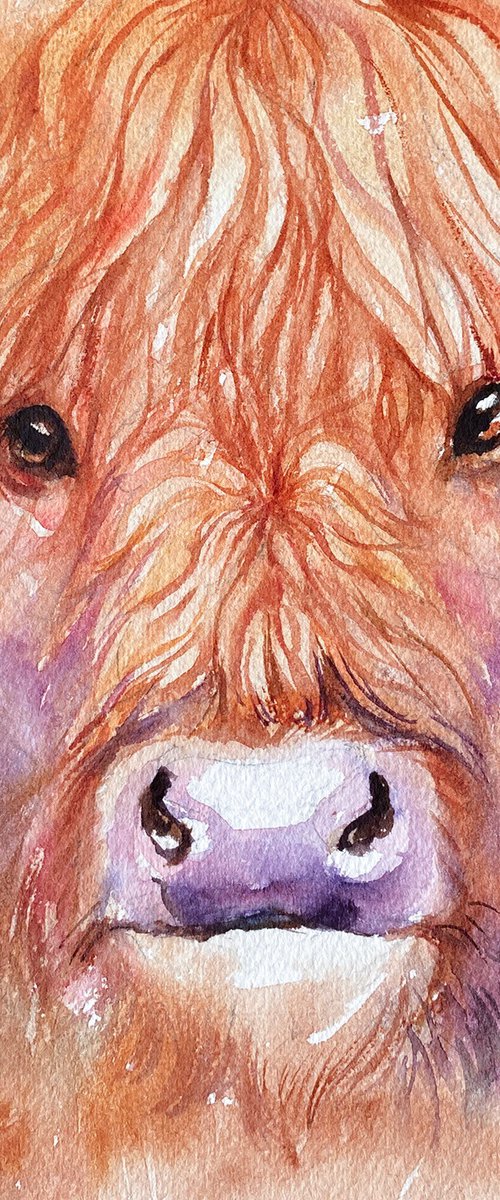 Shaggy Shiloh_Highland Cow by Arti Chauhan