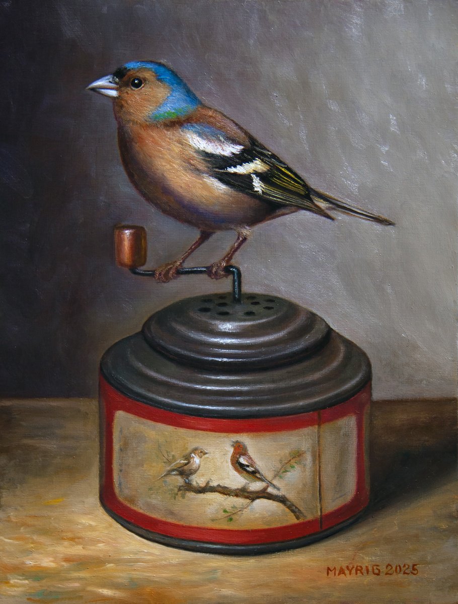 Photorealistic Oil Painting , Music By Finch By Mayrig Simonjan, 9 X 12, Artwork For Sale On Artfinder
