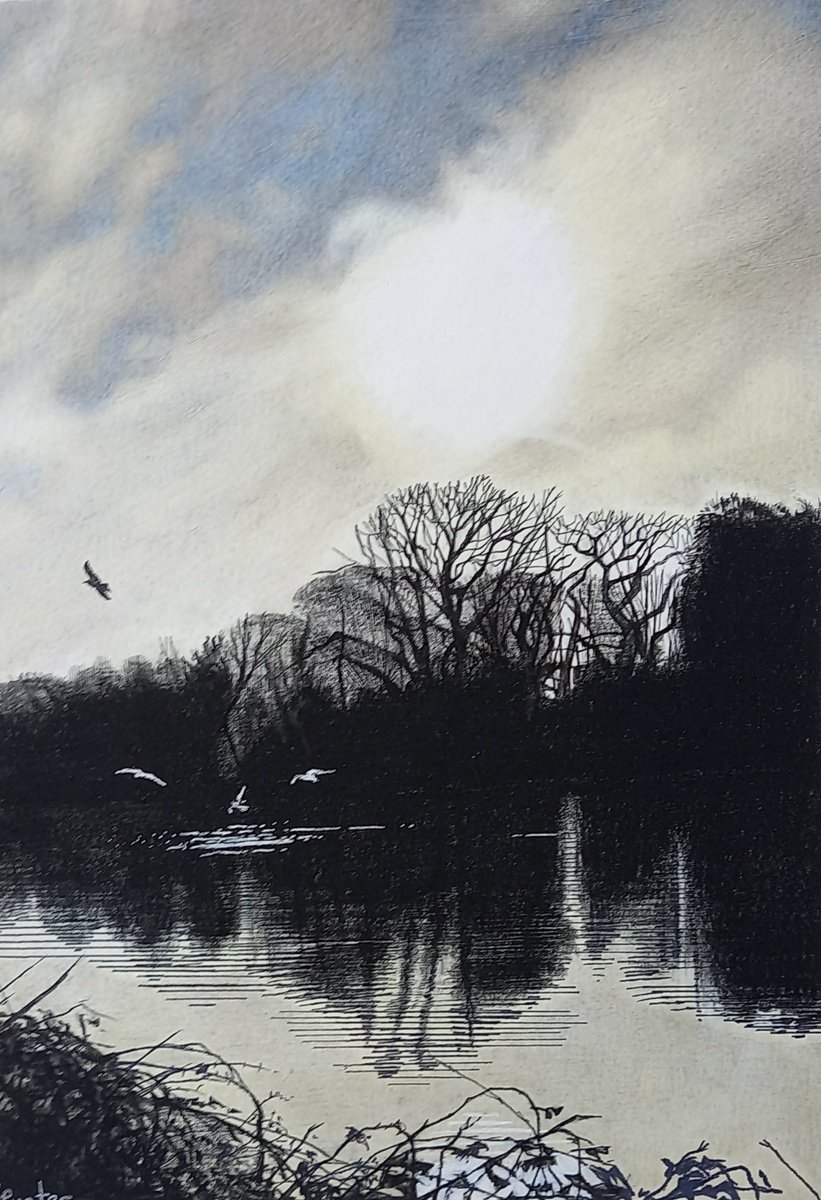 Pencil Drawing , Late Winter Light 1 By Lisa Punter, 11 X 15, Artwork For Sale On Artfinder