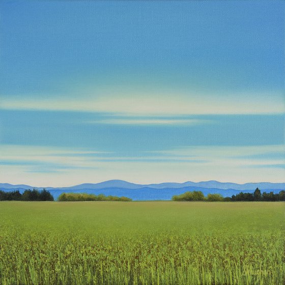 Summer Grass - Blue Sky Landscape