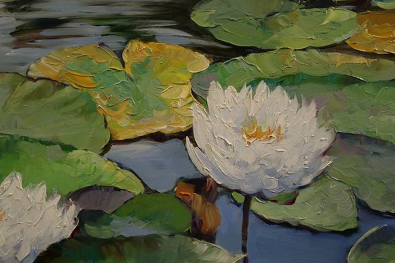 "Symphony of Water Lilies"