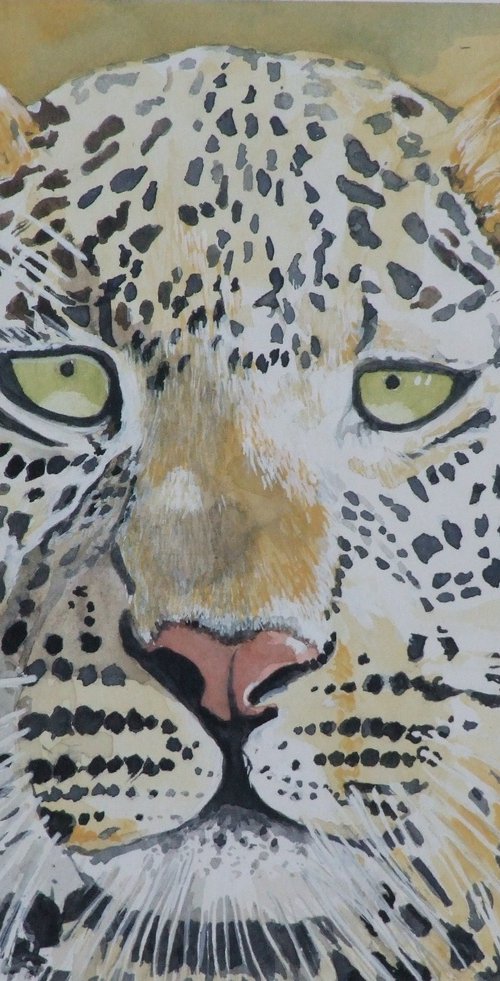 Serengeti Leopard by Philip Baker