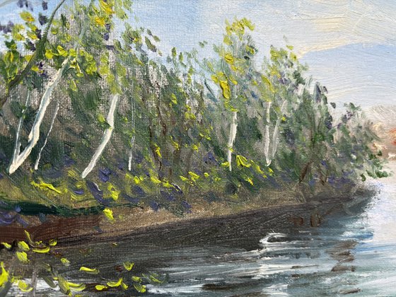 Birch trees on the lake