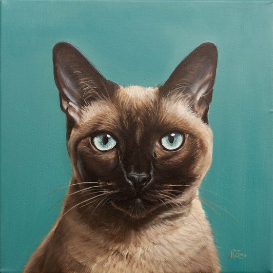 Elegant Siamese Cat