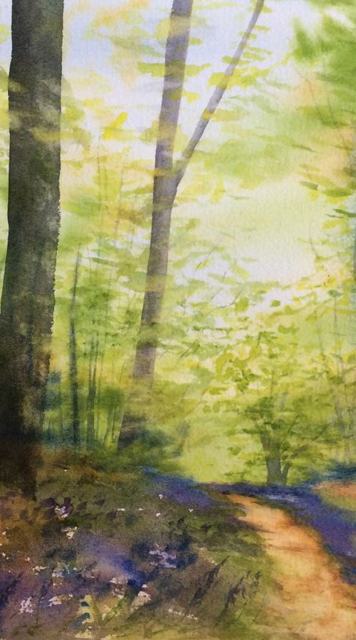 Bluebell walk by Silvie Wright
