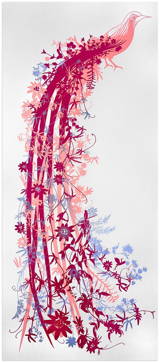 Illustrative Animal Screenprint By Chris Keegan, 10 X 22, Bird Of Paradise, Original Artwork