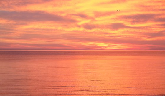 Photography | Pink Orange Sunset in Baltic Sea