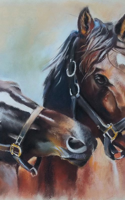 Portrait of horses by Magdalena Palega