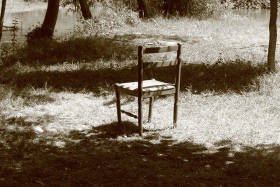 Silent Companion