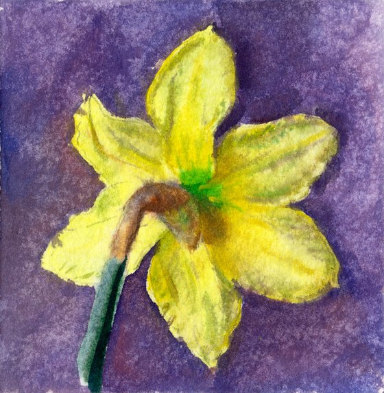 Daffodil Flower — Watercolour Diptych