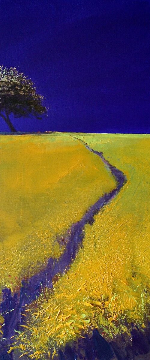 Solaris Dreamfields III by Simon Jones