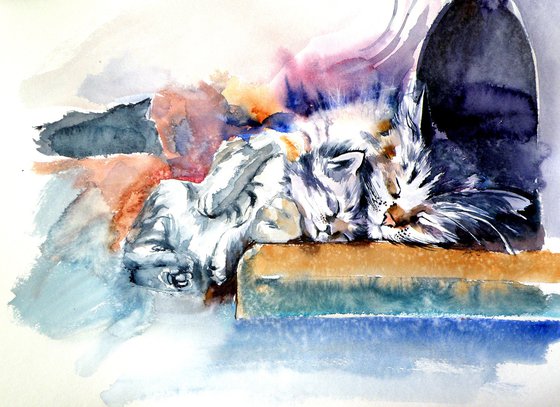 Sleeping cats