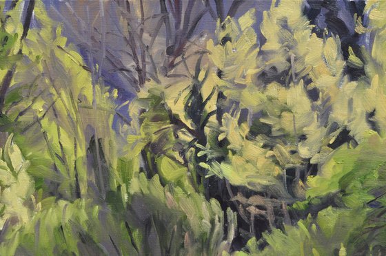 Morning Light on the Loire in Spring