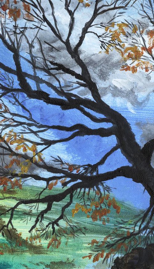 autumn tree in the dales by Sandra Fisher