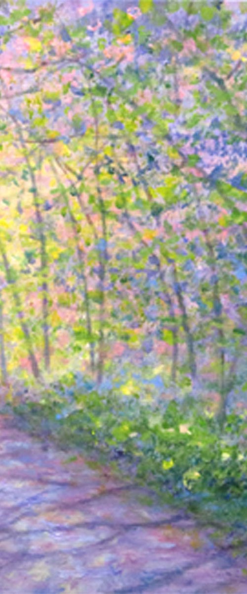 Sunlight & Shadows II by Stella Dunkley