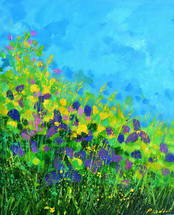 Summer wild flowers   -  5623