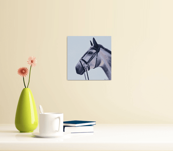 Horse Portrait 8