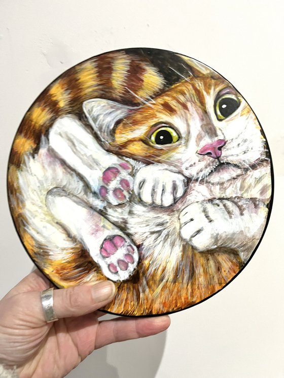 Cat In A Bowl